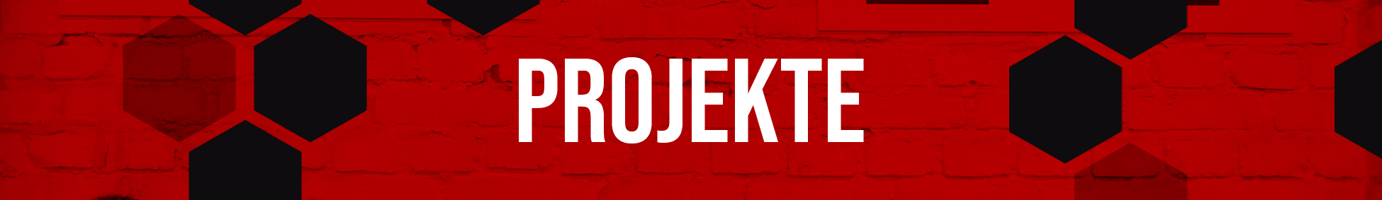 Projekte reiter
